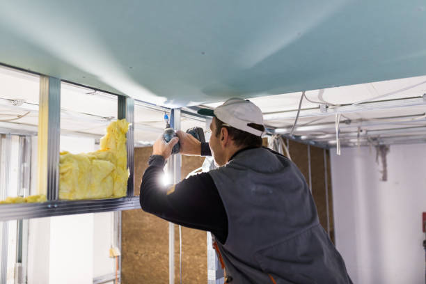 Best Cellulose Insulation  in Olyphant, PA