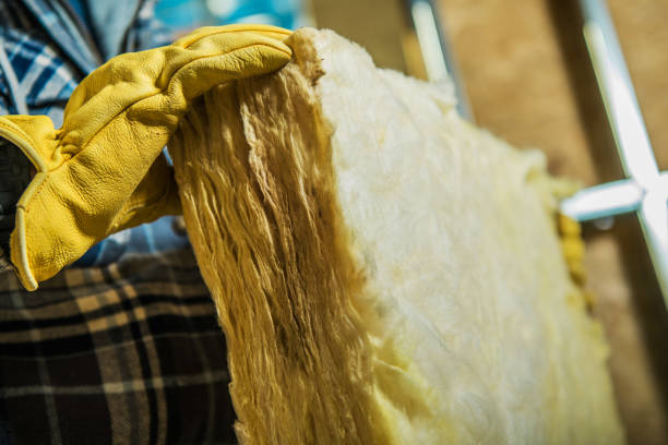 Best Insulation Replacement Services  in Olyphant, PA