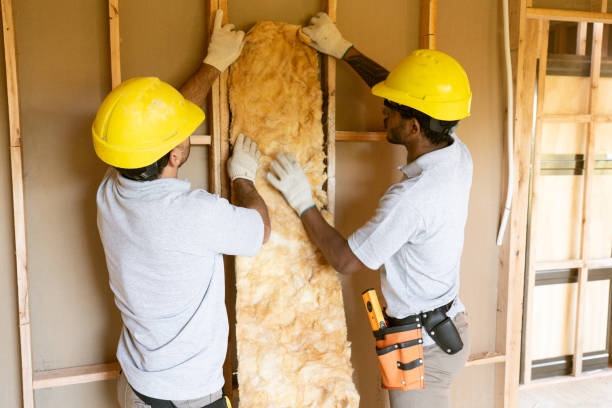 Best Wall Insulation Contractor  in Olyphant, PA