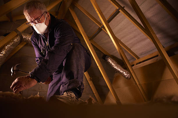 Best Local Insulation Services  in Olyphant, PA