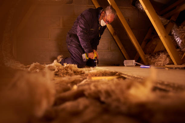 Best Insulation Contractor Near Me  in Olyphant, PA
